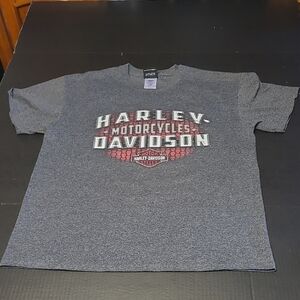 Harley-Davidson Gray Men's T-Shirt Size L NIAGRA FALLS